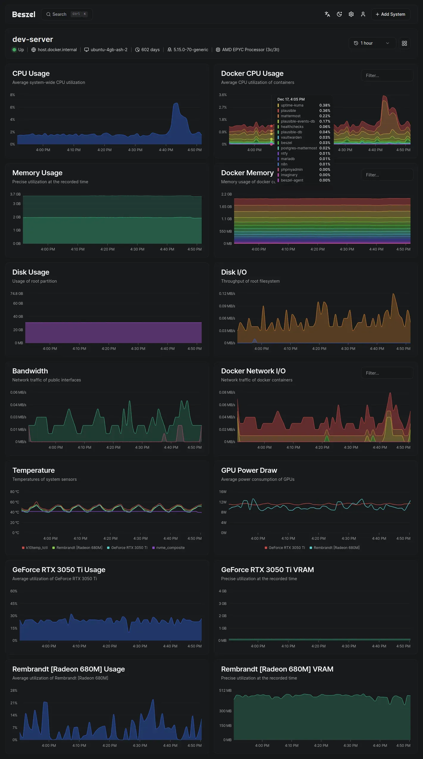 Linux Server Hardening – A terminal showing active firewall and fail2ban protection
