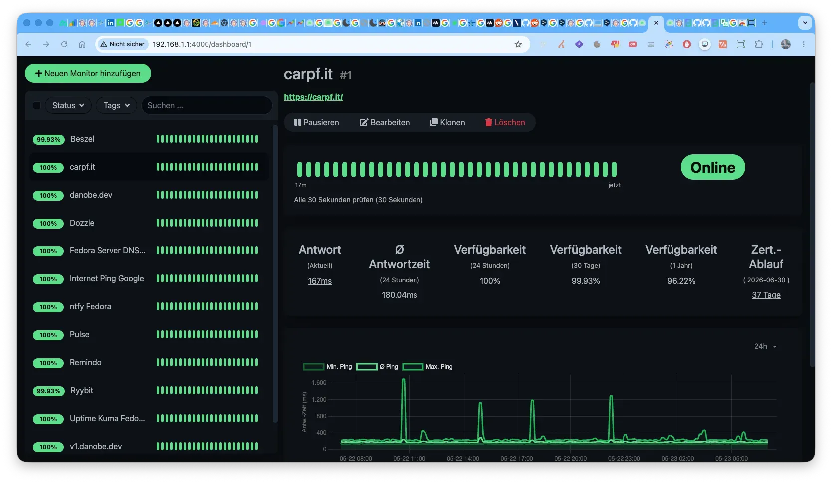 All my current monitored services by uptime kuma
