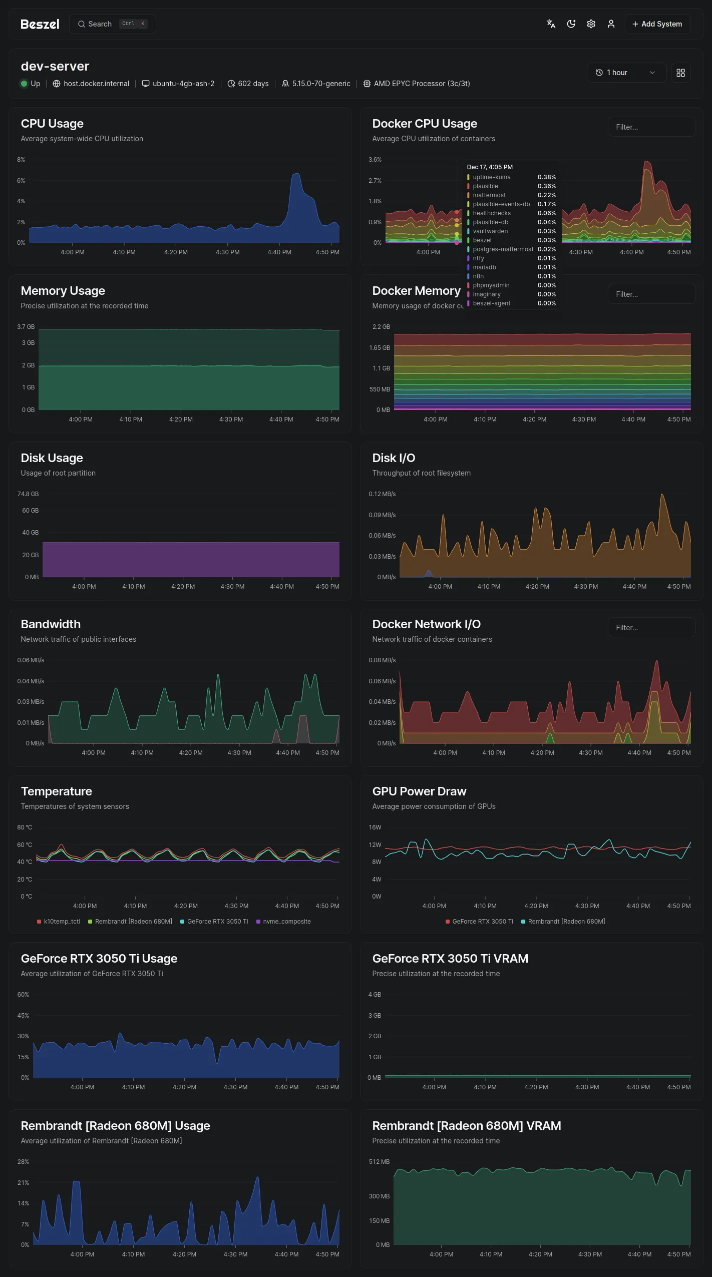 Linux Server Hardening – A terminal showing active firewall and fail2ban protection